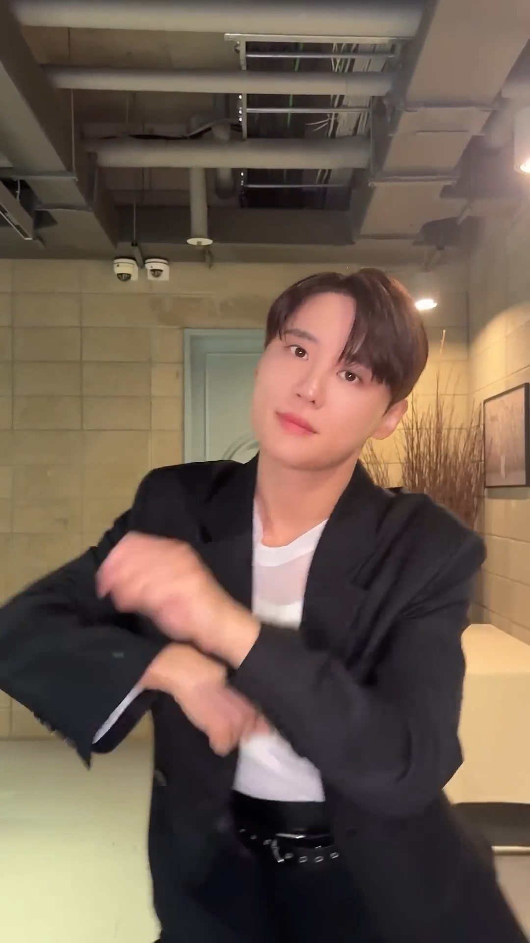 팜트리 비주얼 축복이 끝이 없네.19.jpg