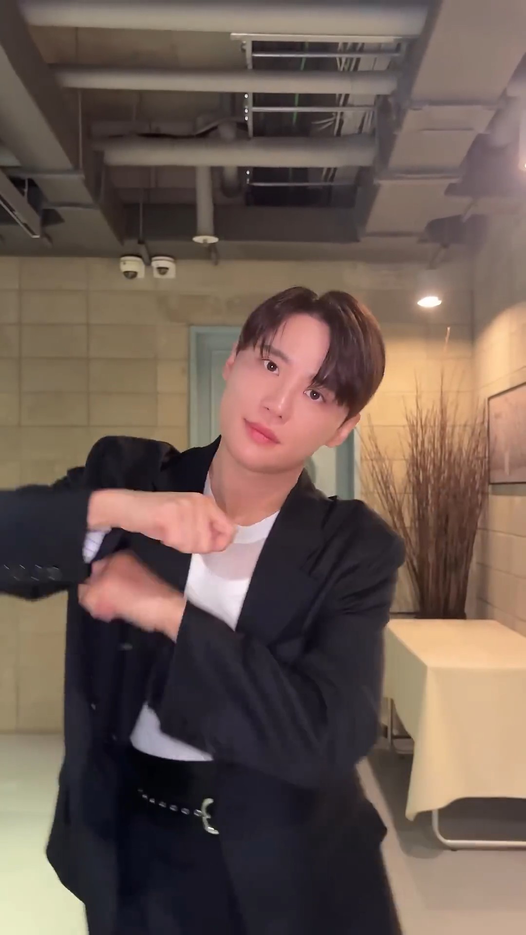 팜트리 비주얼 축복이 끝이 없네.5.jpg