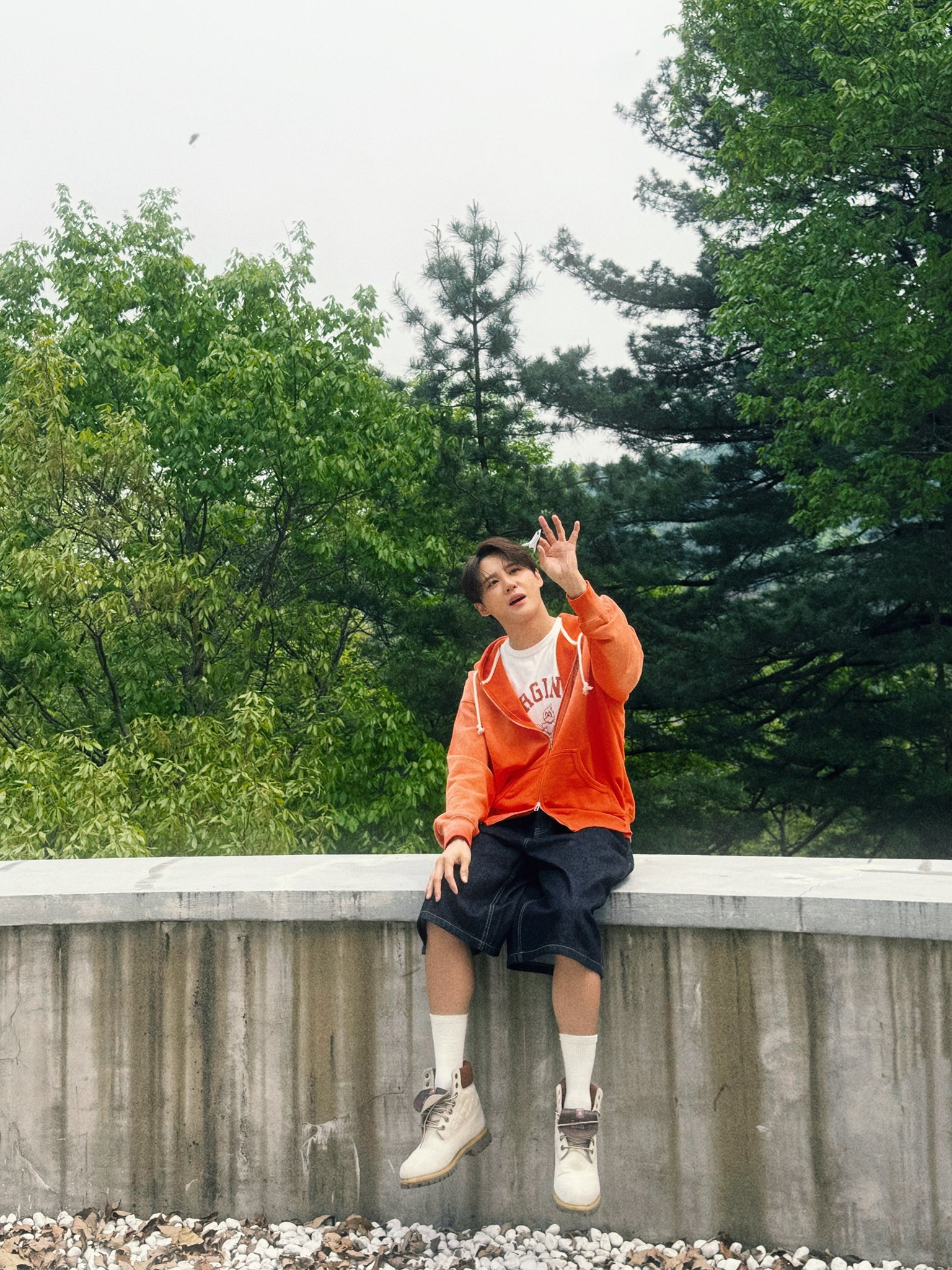 260525_Junsu_PALMTREE.jpg